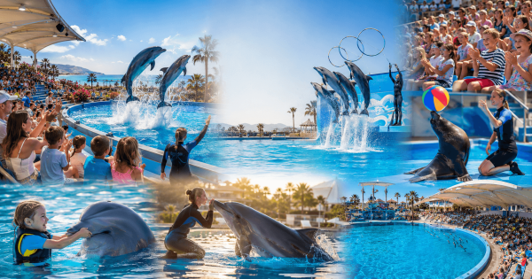 Alanya Dolphin Show
